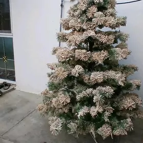 yolka ak gar yagan ёлка