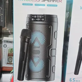 kalonka kalonkalar mikrofonly