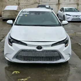 Toyota Corolla 2022