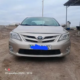 Toyota Corolla 2010