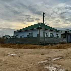 Anew Magtymguly taze paylanan