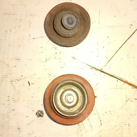 Opel abratny klapanyň dioframa