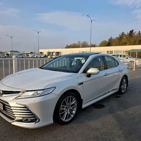 Toyota Camry 2022