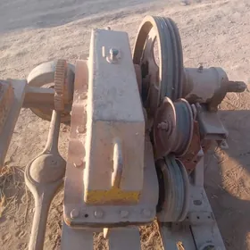 28 womda islyn kerpc zawt