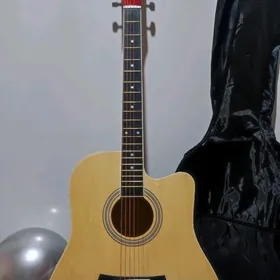 JIZHILIN ELEKTRO GITARA
