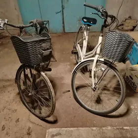 26 27 Dubayka wellikler