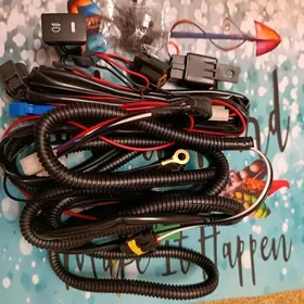 Camry Tumannik toklary