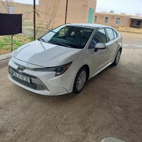 Toyota Corolla 2020