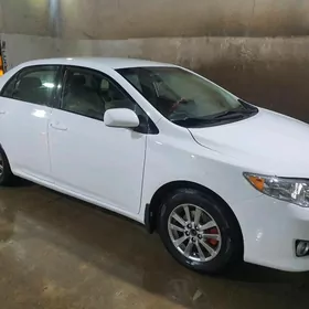 Toyota Corolla 2008