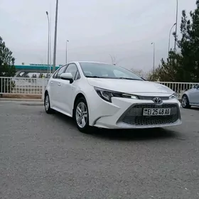 Toyota Corolla 2022