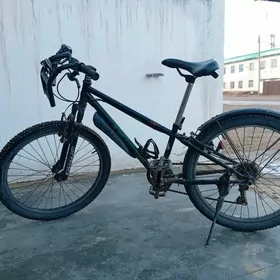 yaponskiy sport welisopet