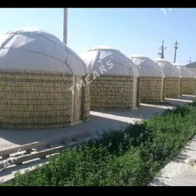 ak oy garoy ak garaoy taze jay