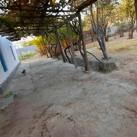 Garry plan jay Gowsut stansiya