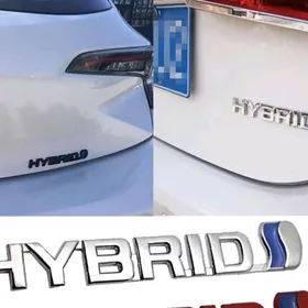 Embilembe yznak arginal demir