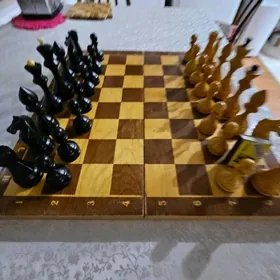 ШАХМАТЫ СССР