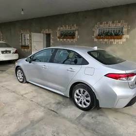 Toyota Corolla 2024