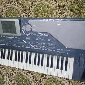 KORG PA800 RTYM BLOK