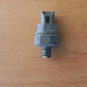 2.2 motoryn yag datcigi