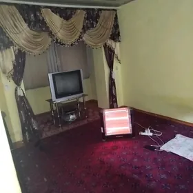 Satlyk jay eŷesinen