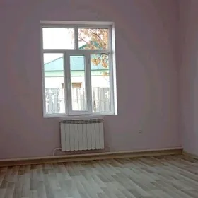 çogonly howly jay 3 kom