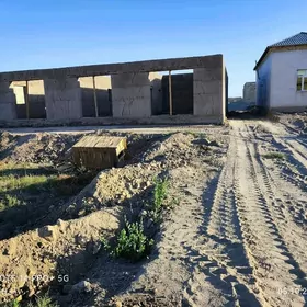 дияр гинешлик ( чан базар )