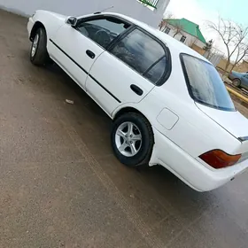 Toyota Corolla 1995