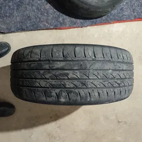 Tigir Radial 225/55/17