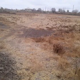 Mellek ýer satylýar