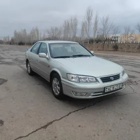 Toyota Camry 2001