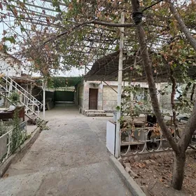 AK ALTTN SATLYK PLAN JAY