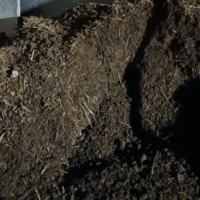 эленен дерс халтада