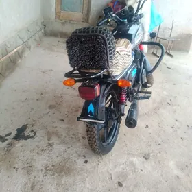 Fekon FK200-14G 2024