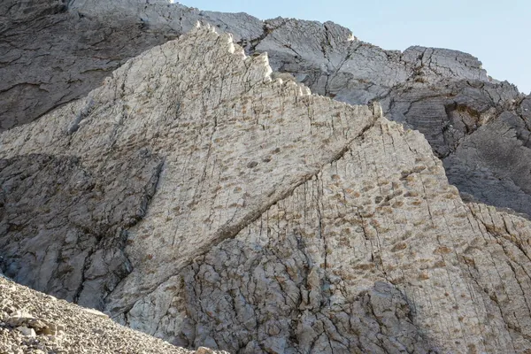 В итальянских Альпах фотограф случайно наткнулся на тысячи следов динозавров