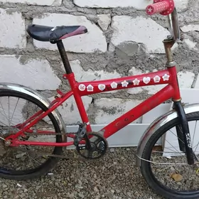 бравири спорт