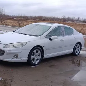 Peugeot 407 2004