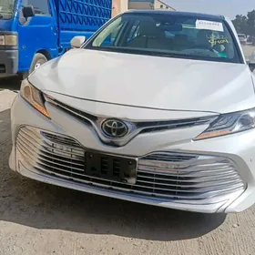 Toyota Camry 2020