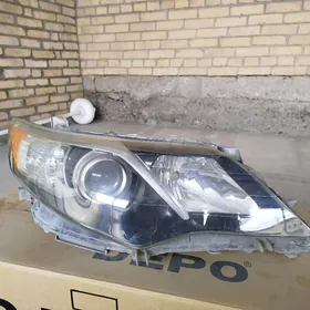 fara palta cemry 2012