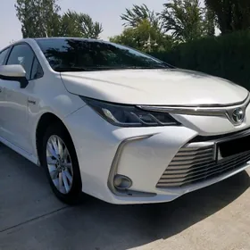 Toyota Corolla 2019