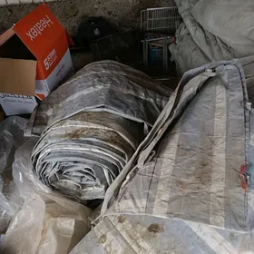 Палата чадыр