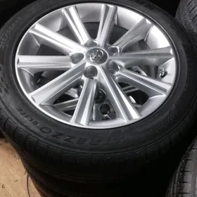 PALTA KEMRI diska ARGINAL