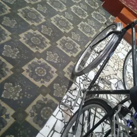 Arginal super Aýyst köneleri