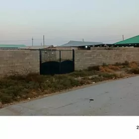 Ak bugdaý etrabyň bugdaýlyda j