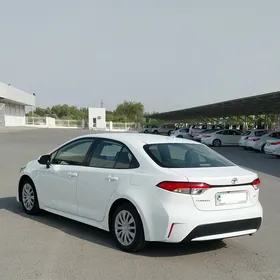 Toyota Corolla 2019