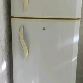 Holodinlik Holodinlik