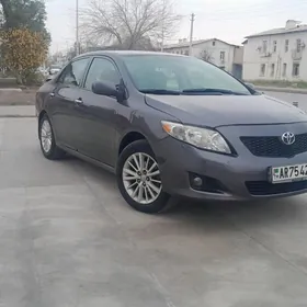 Toyota Corolla 2010