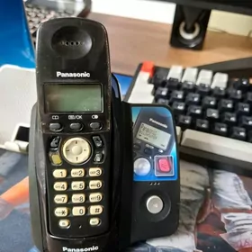 domasniy tel panasonic