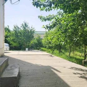 Bereketli zaman gawers