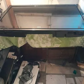 электронка