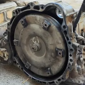 Tayato avalon karapka radnoy