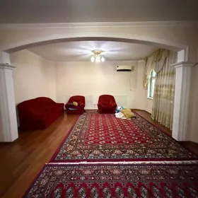 Dasaf Pol Elitka 3 komnat